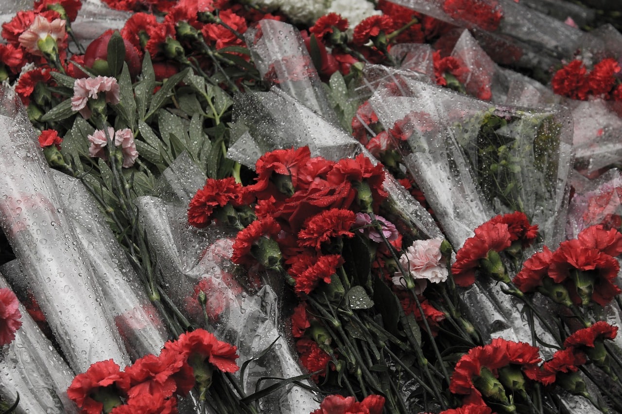 victory day, carnation, flowers-939179.jpg